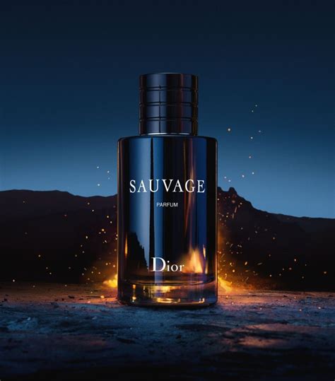 sauvage dior fragrances|Dior Sauvage chemist warehouse.